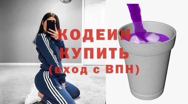 ПСИЛОЦИБИНОВЫЕ ГРИБЫ Арсеньев