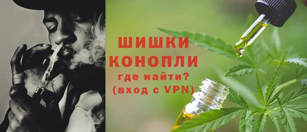 ПСИЛОЦИБИНОВЫЕ ГРИБЫ Арсеньев