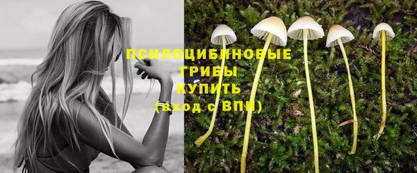 jwh Аркадак