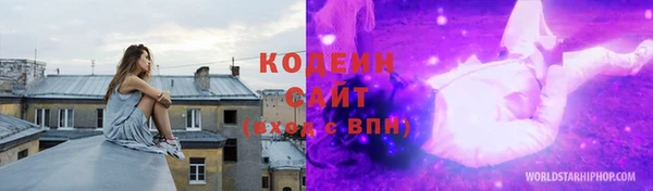 ПСИЛОЦИБИНОВЫЕ ГРИБЫ Арсеньев