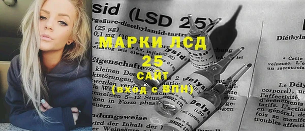 ПСИЛОЦИБИНОВЫЕ ГРИБЫ Арсеньев
