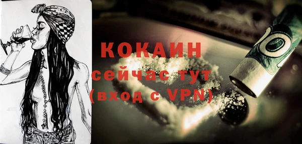 индика Армянск