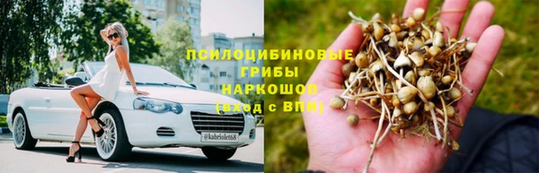 ПСИЛОЦИБИНОВЫЕ ГРИБЫ Арсеньев