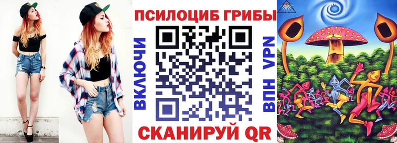 Псилоцибиновые грибы мухоморы  kraken ссылки  Валдай  где можно купить  